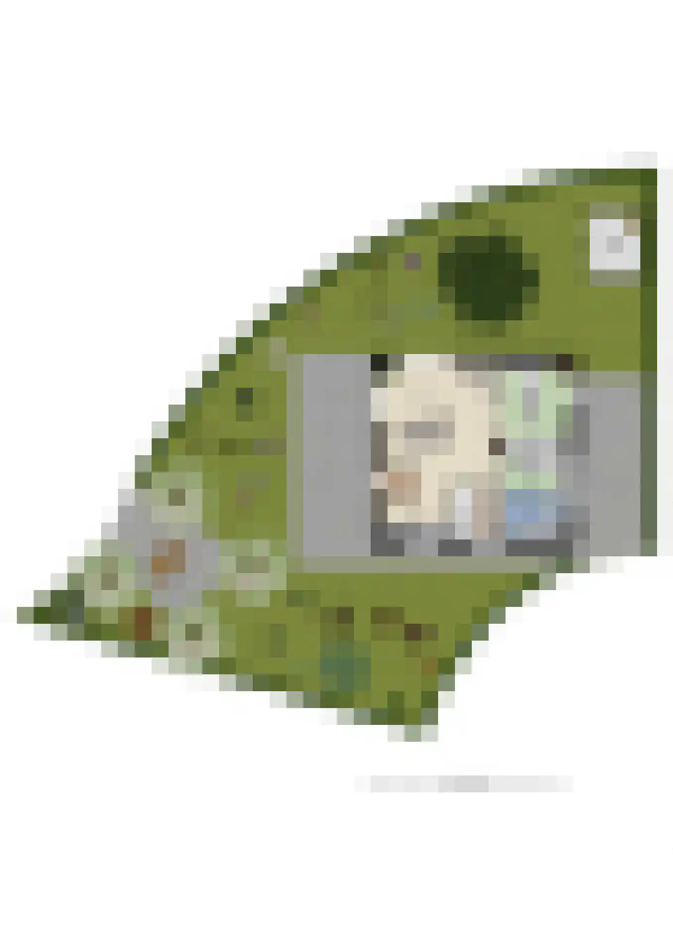 Rijk van Batouwe 24 Kesteren thumbnail 37