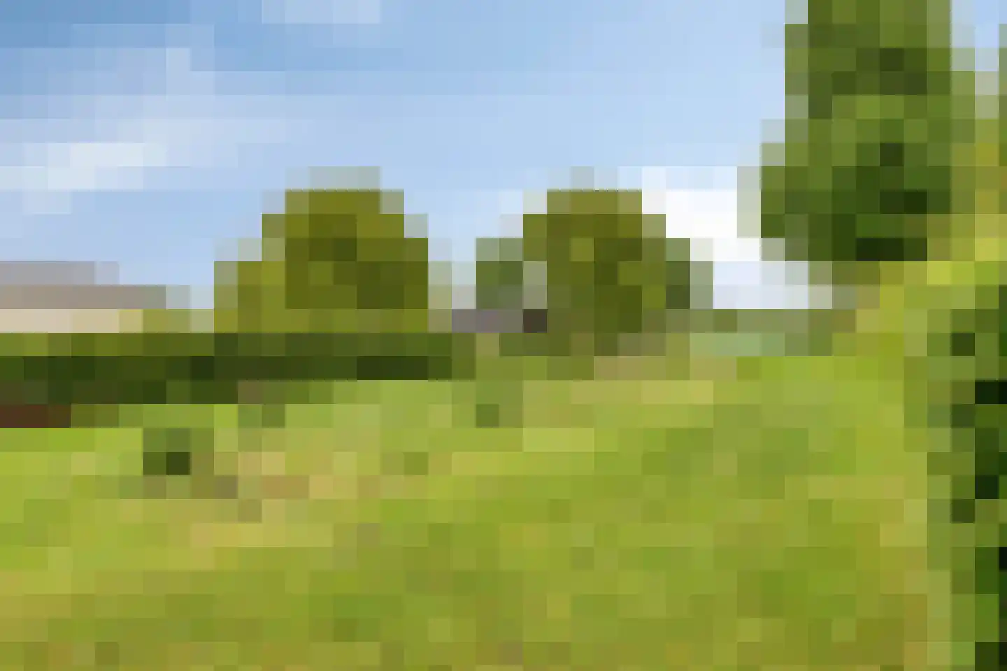 Rijk van Batouwe 32 Kesteren thumbnail 19