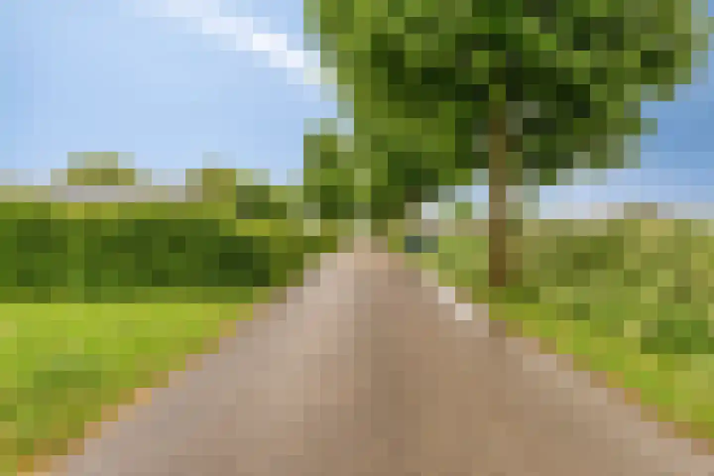Rijk van Batouwe 32 Kesteren thumbnail 20