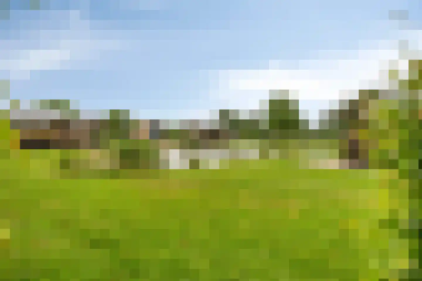 Rijk van Batouwe 33 Kesteren thumbnail 18
