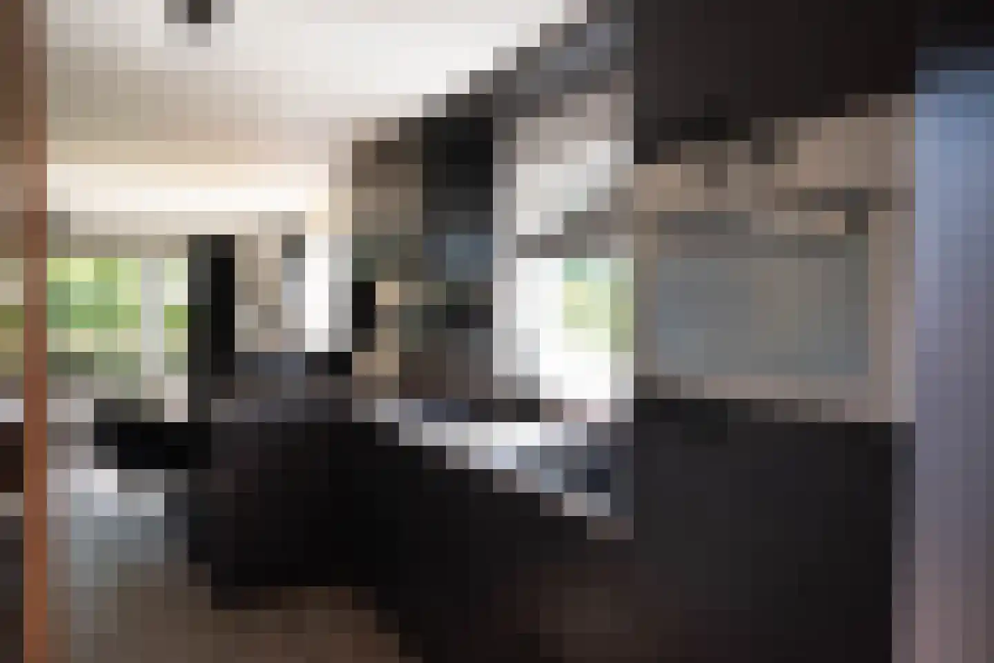 Rijk van Batouwe 44 Kesteren thumbnail 25