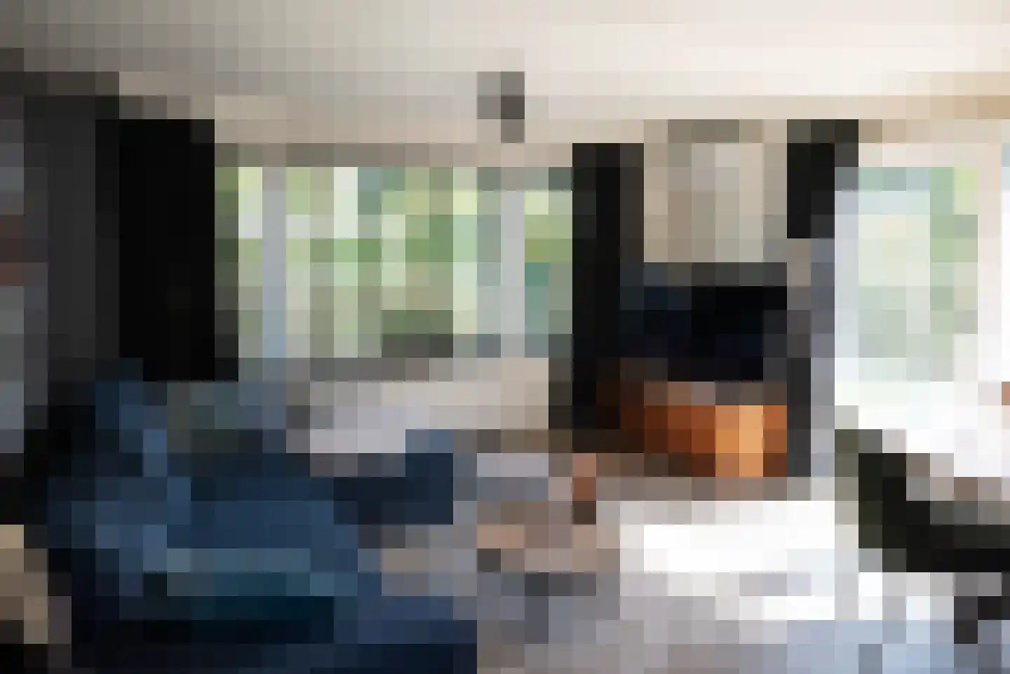 Rijk van Batouwe 44 Kesteren thumbnail 28
