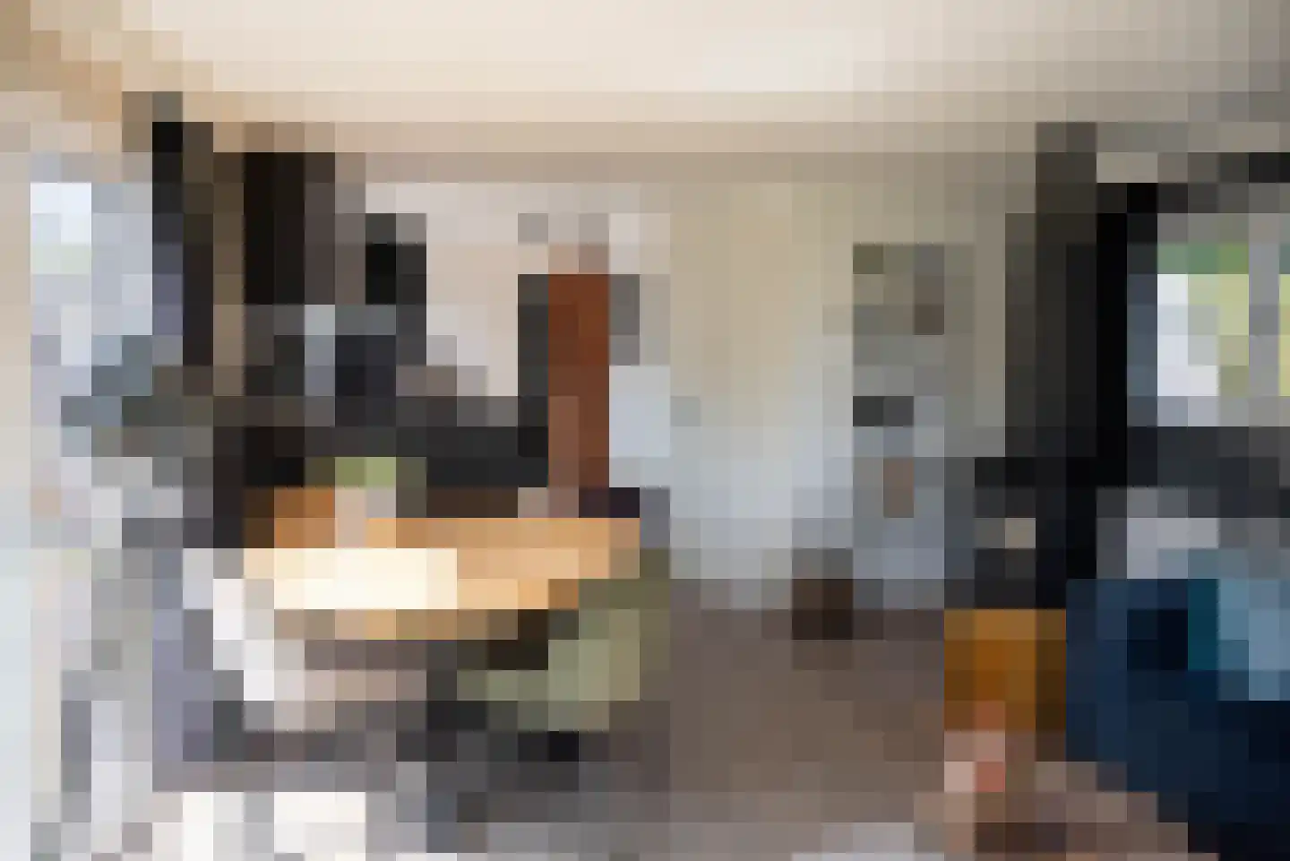 Rijk van Batouwe 44 Kesteren thumbnail 29