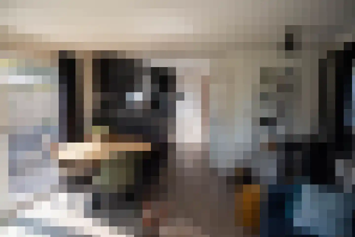 Rijk van Batouwe 44 Kesteren thumbnail 30