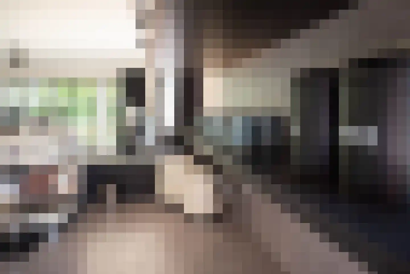 Rijk van Batouwe 44 Kesteren thumbnail 32