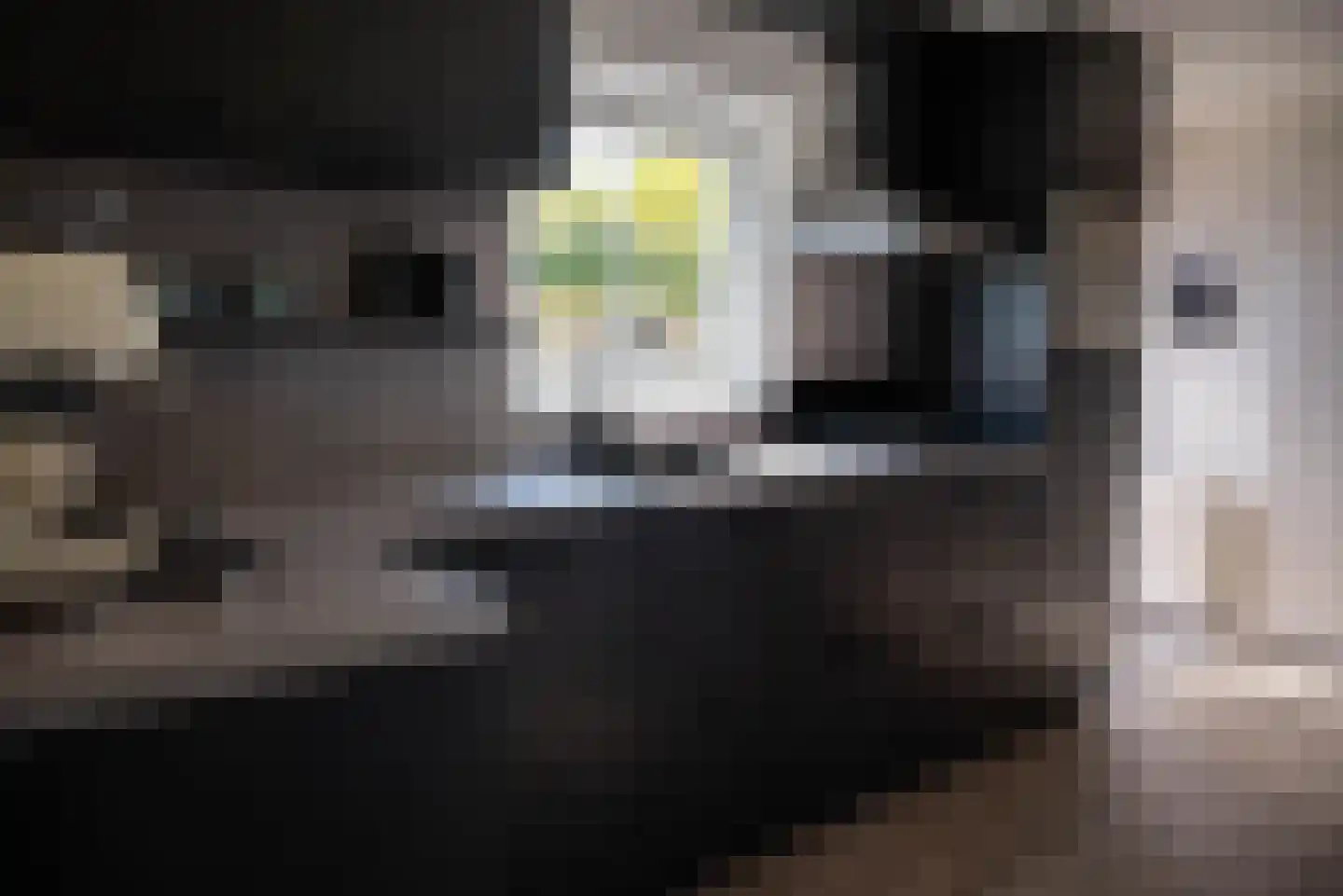 Rijk van Batouwe 44 Kesteren thumbnail 35