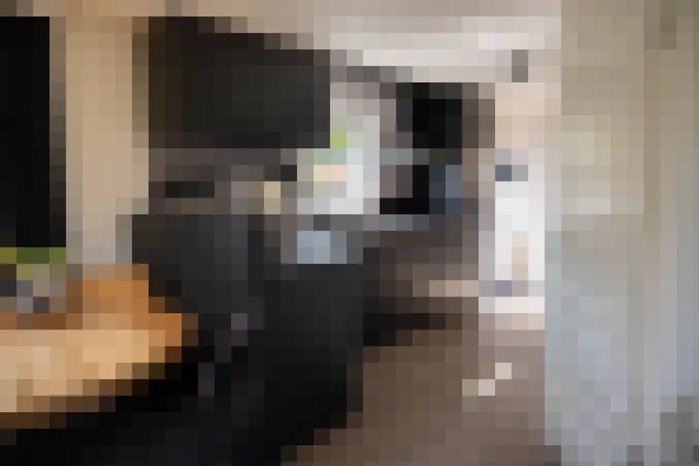 Rijk van Batouwe 44 Kesteren thumbnail 36