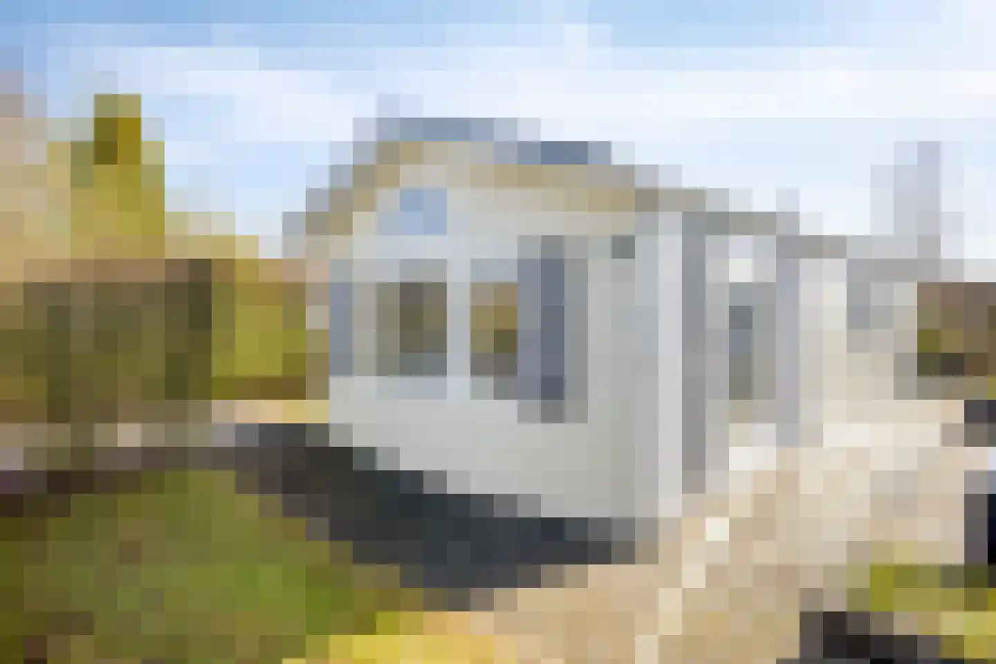 Rijk van Batouwe 50 Kesteren thumbnail 17