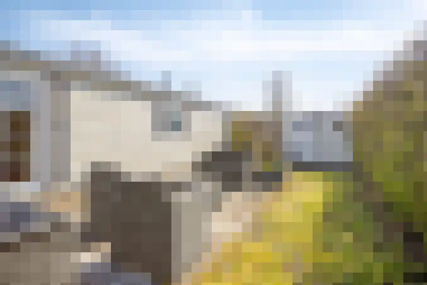 Rijk van Batouwe 50 Kesteren thumbnail 18