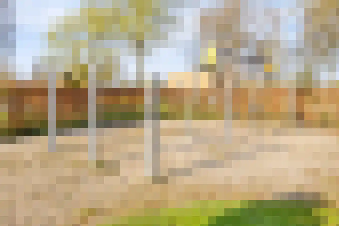 Rijk van Batouwe 50 Kesteren thumbnail 24