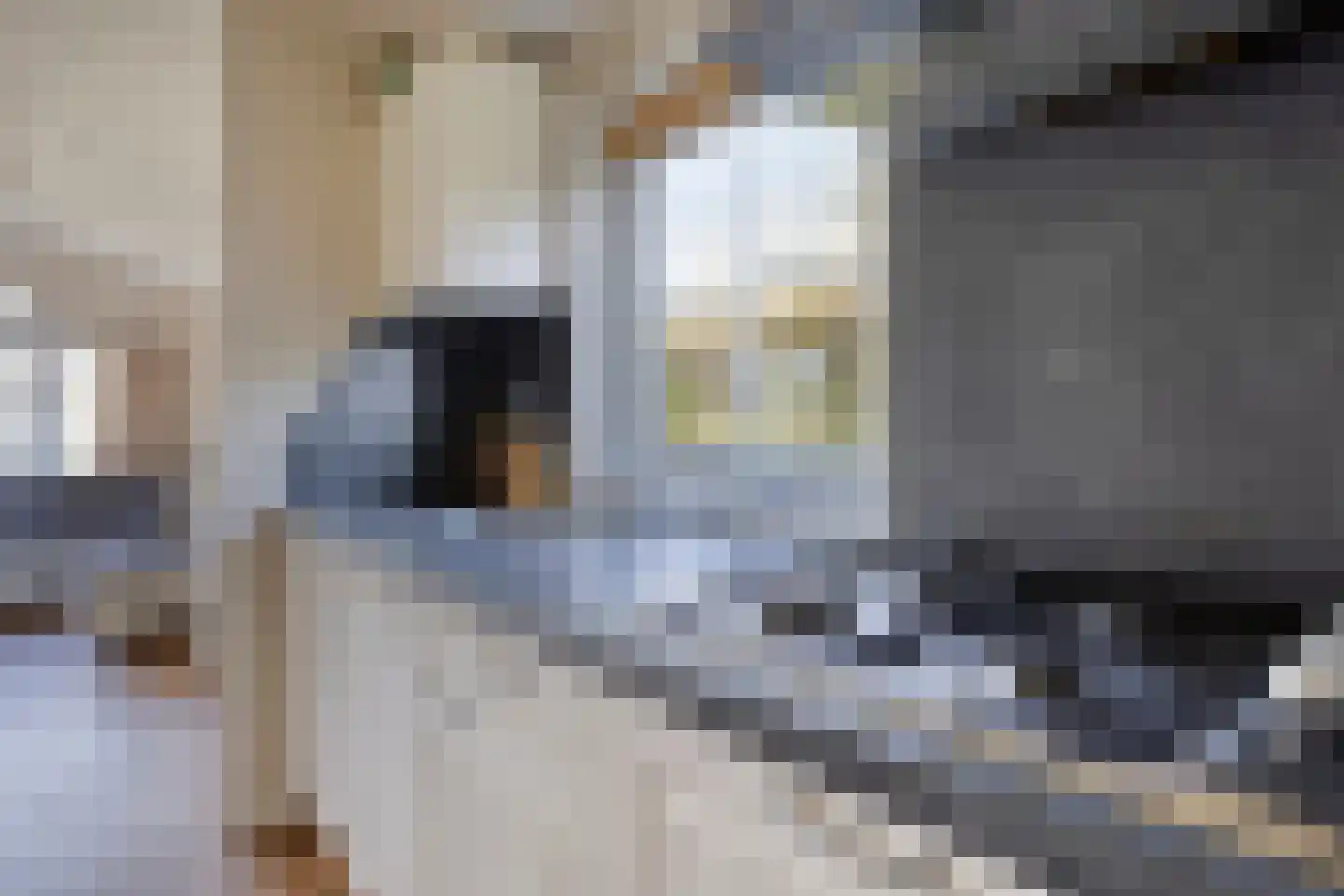 Rijk van Batouwe 50 Kesteren thumbnail 4