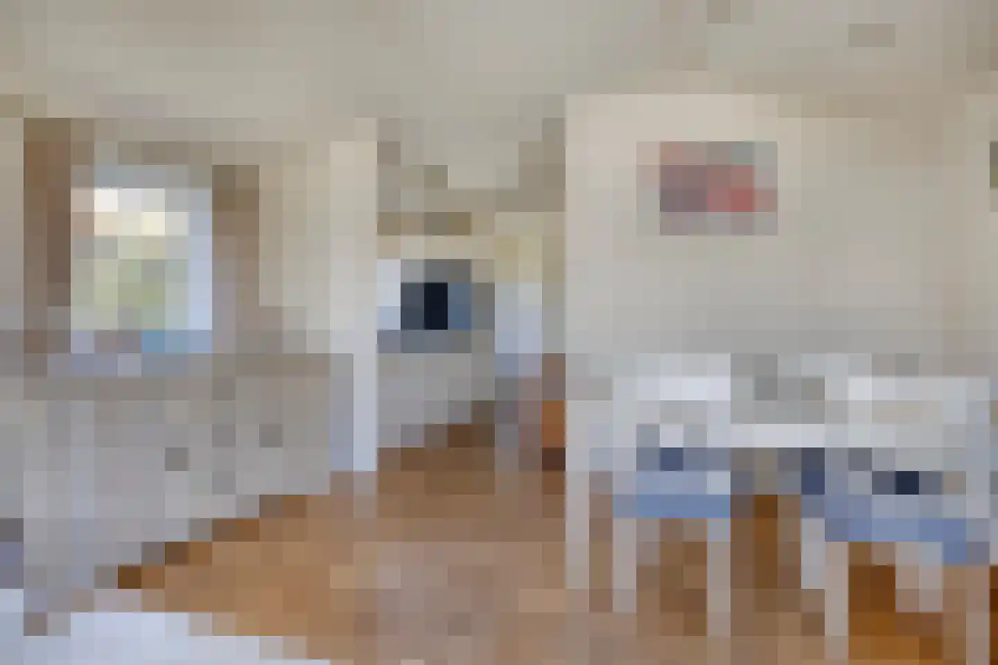 Rijk van Batouwe 50 Kesteren thumbnail 8
