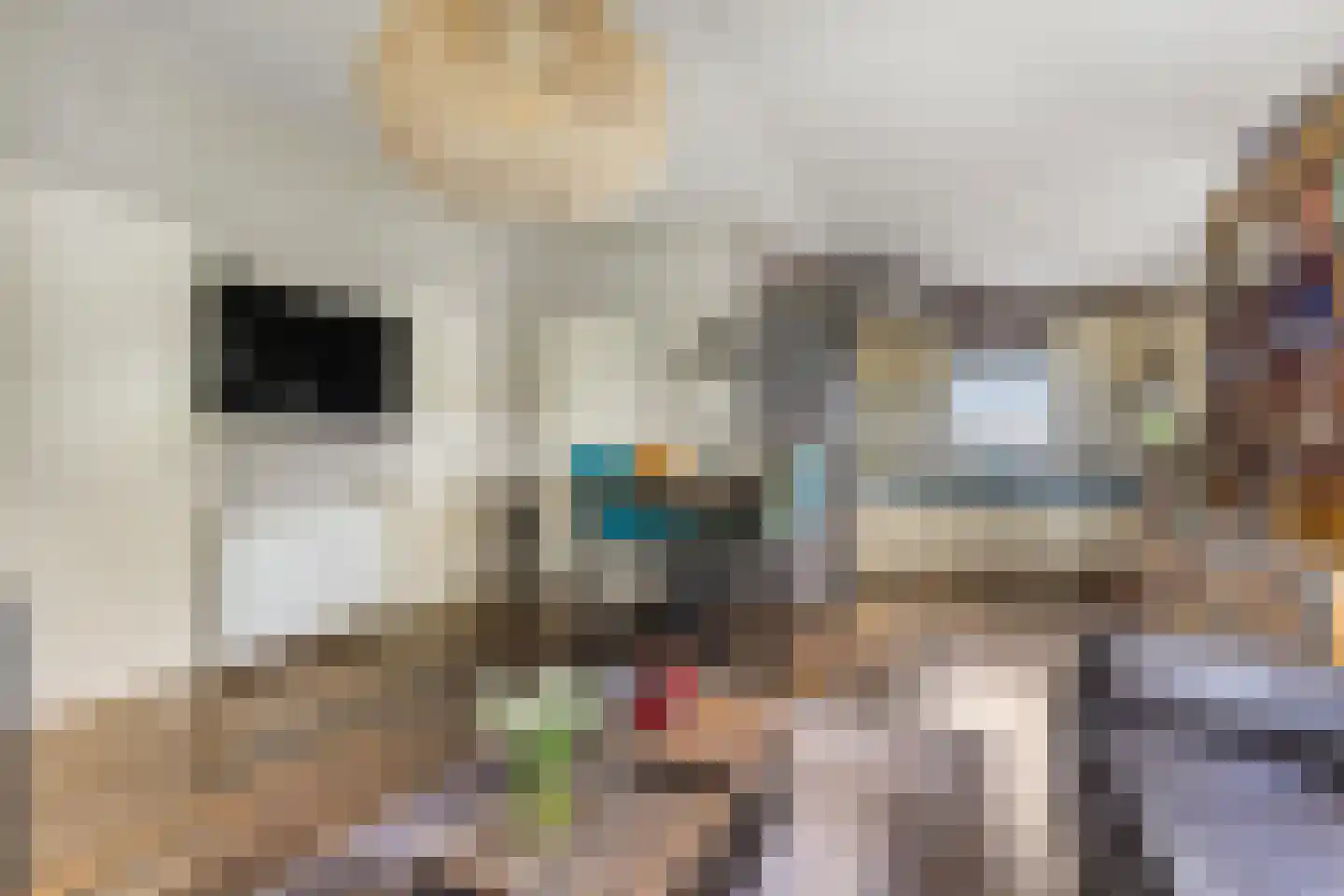 Rijk van Batouwe 55 Kesteren thumbnail 12