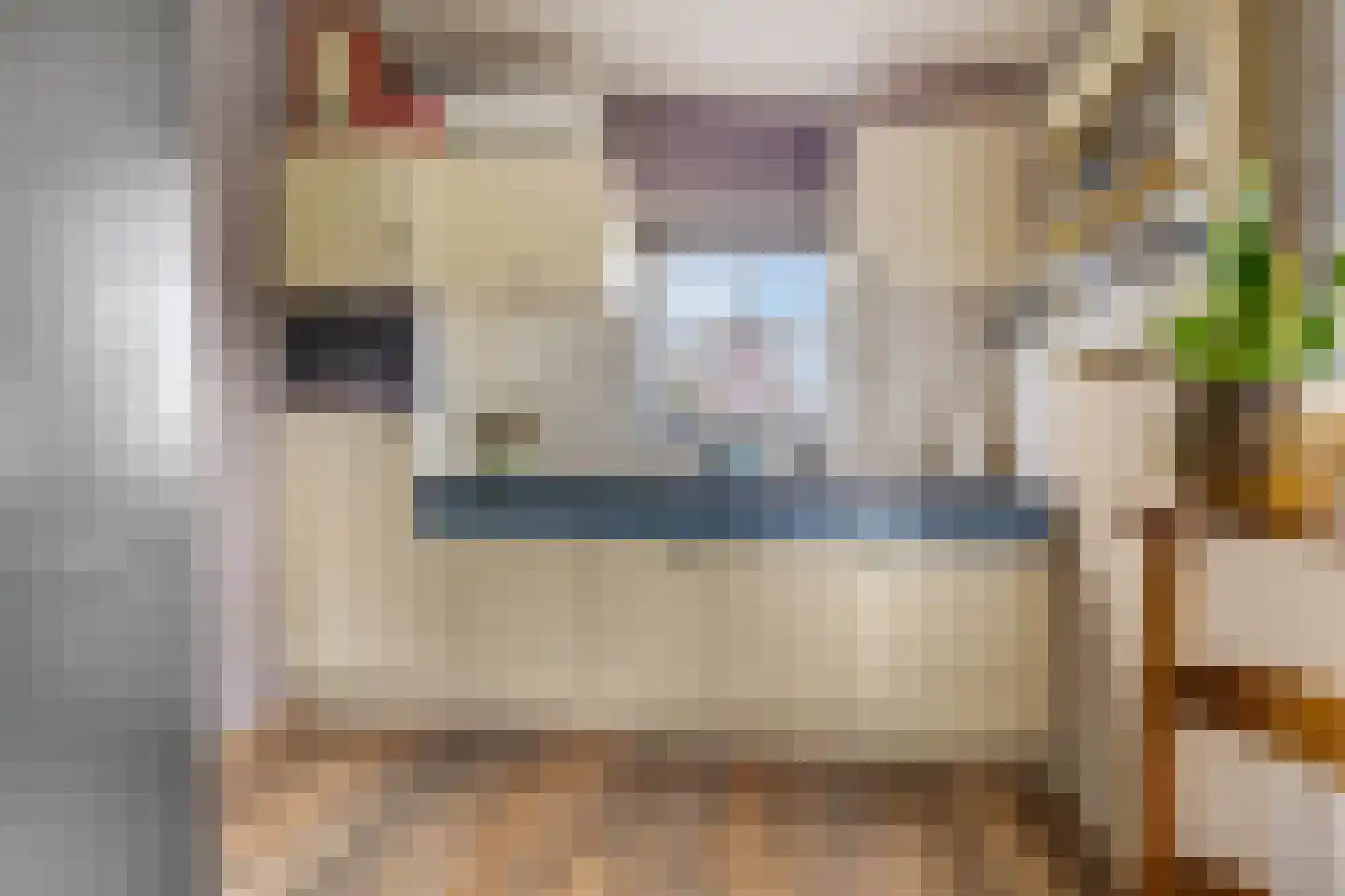 Rijk van Batouwe 55 Kesteren thumbnail 14