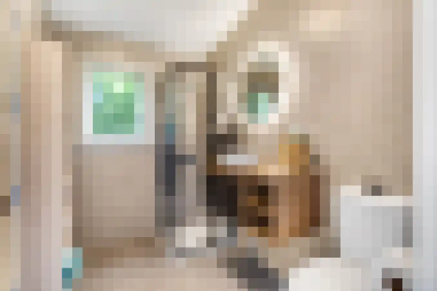 Rijk van Batouwe 55 Kesteren thumbnail 18
