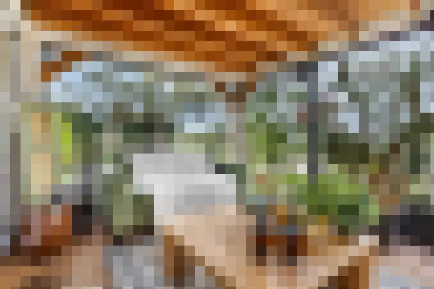 Rijk van Batouwe 55 Kesteren thumbnail 23
