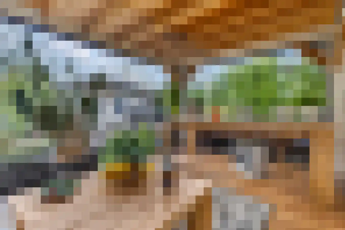 Rijk van Batouwe 55 Kesteren thumbnail 24