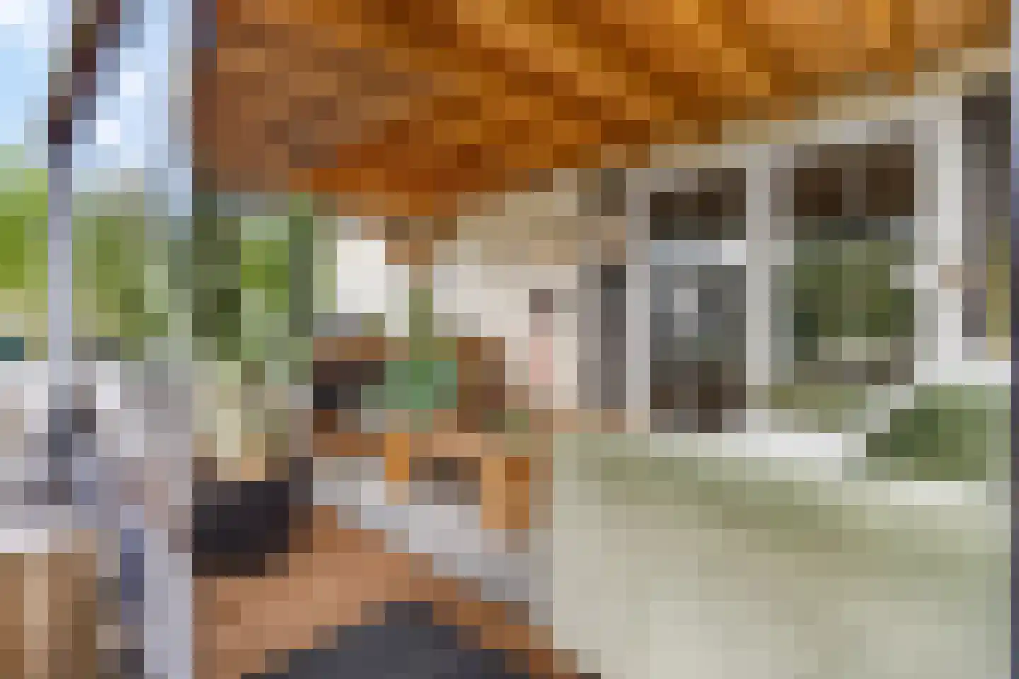 Rijk van Batouwe 55 Kesteren thumbnail 25