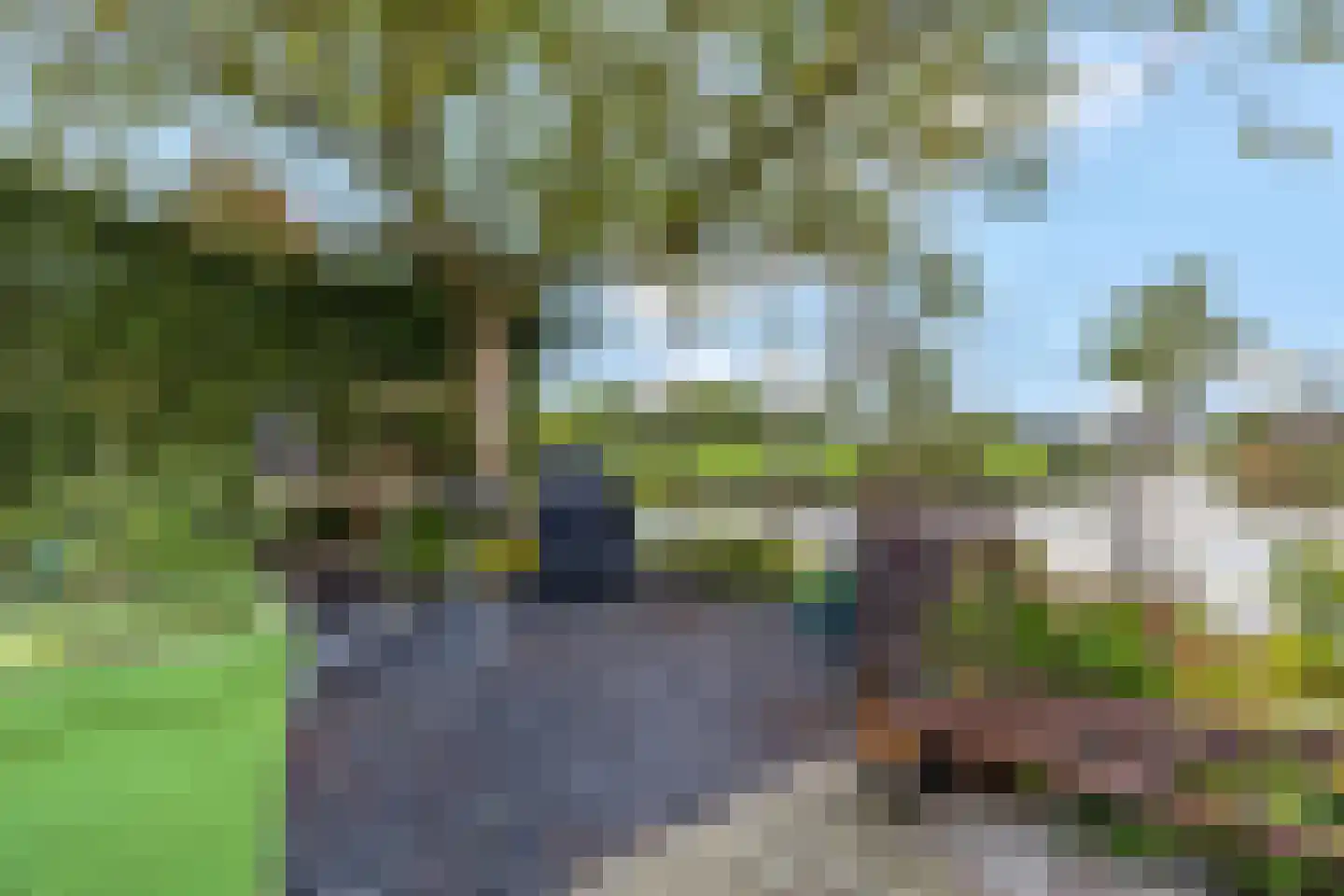 Rijk van Batouwe 55 Kesteren thumbnail 32