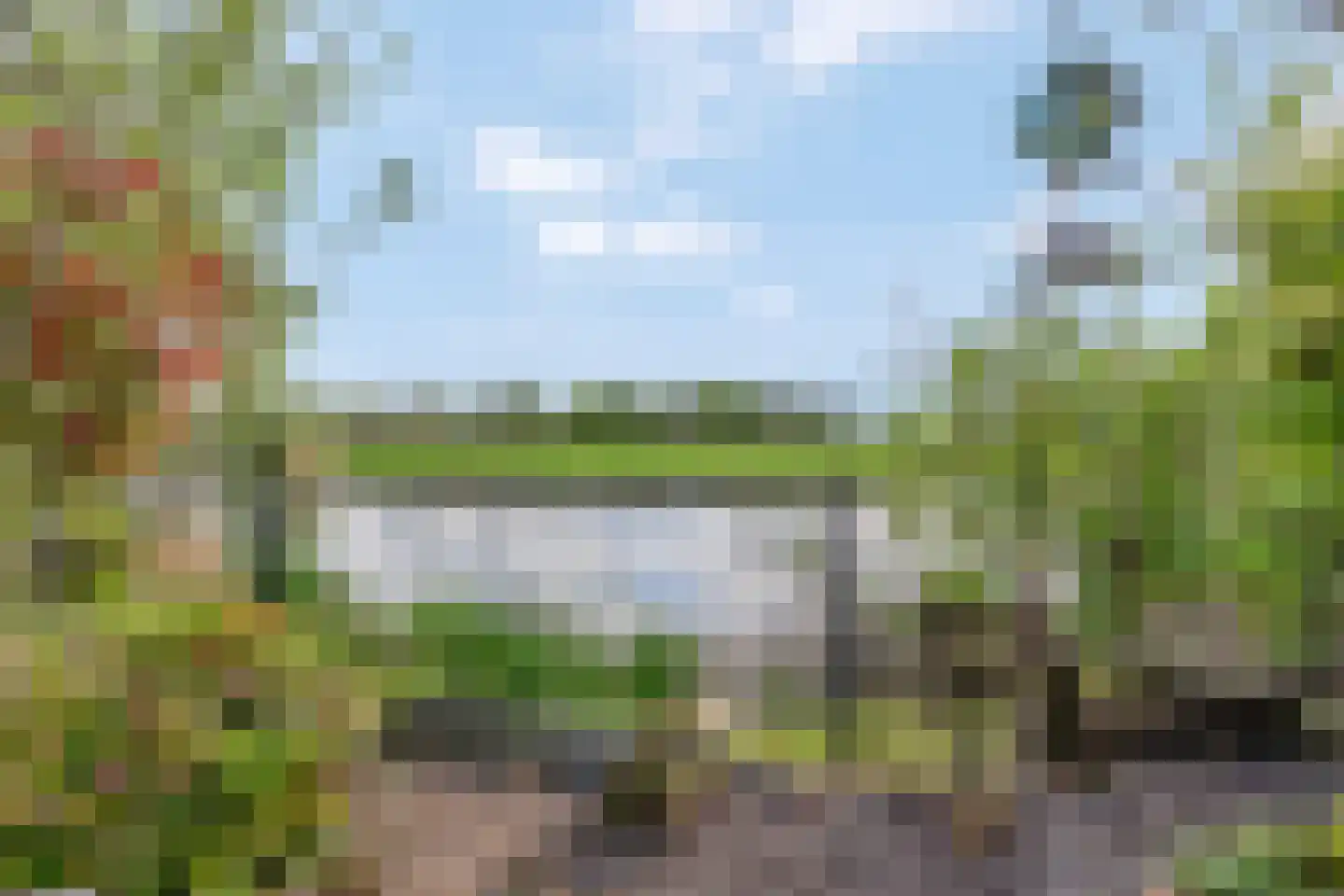 Rijk van Batouwe 55 Kesteren thumbnail 36