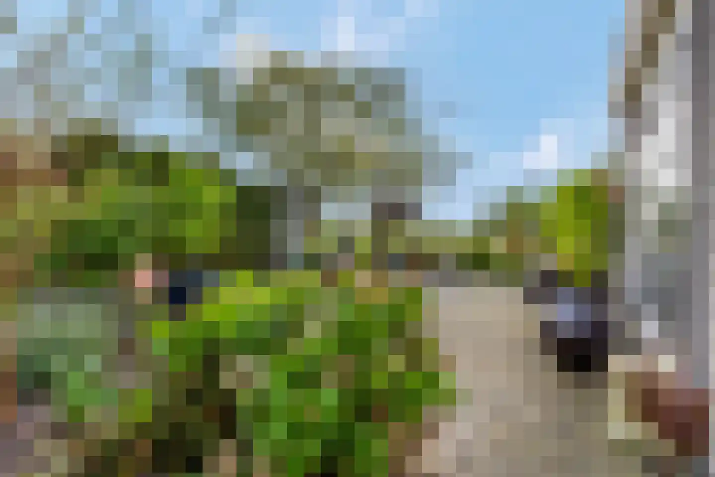 Rijk van Batouwe 55 Kesteren thumbnail 37