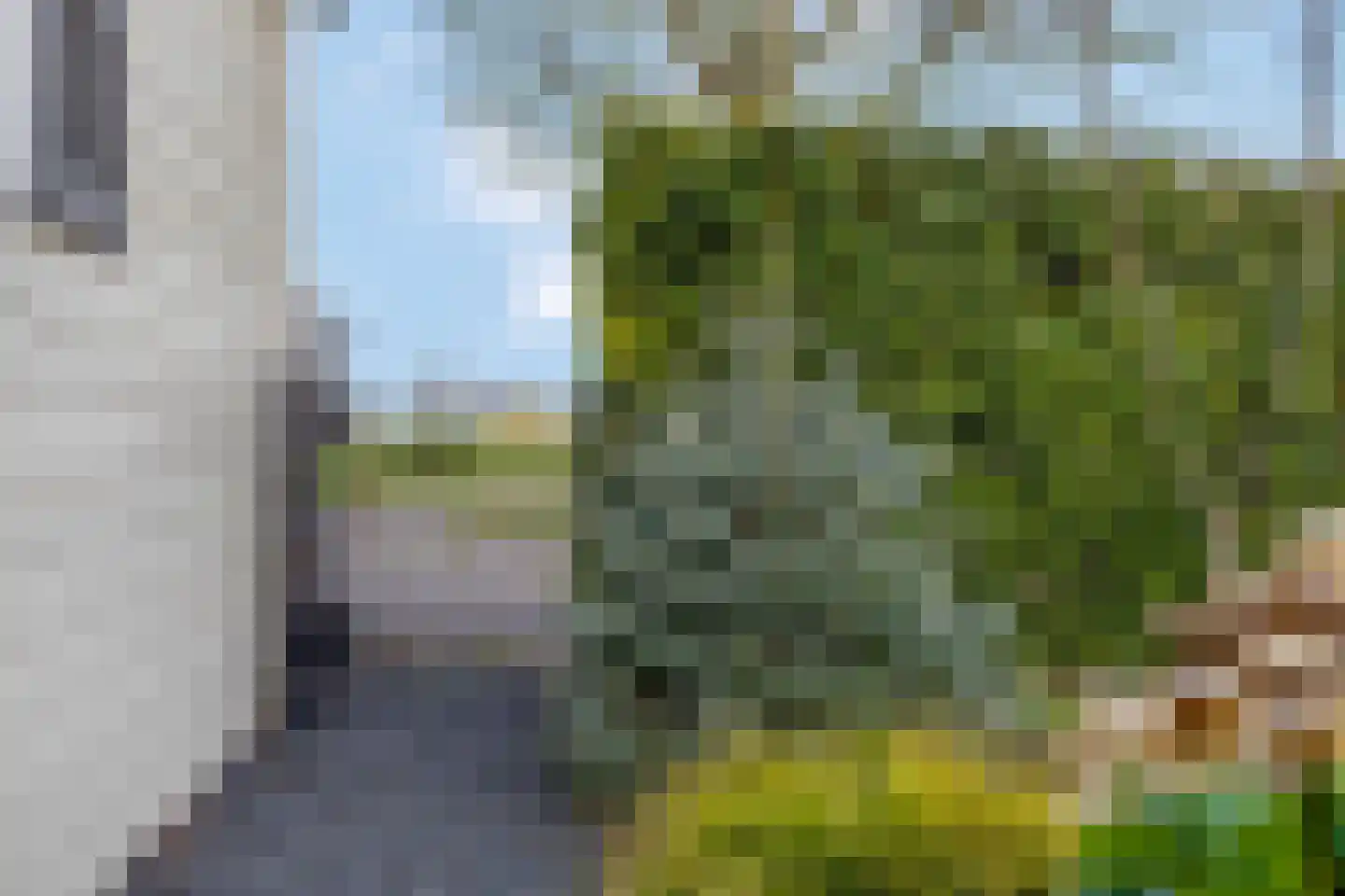 Rijk van Batouwe 55 Kesteren thumbnail 38