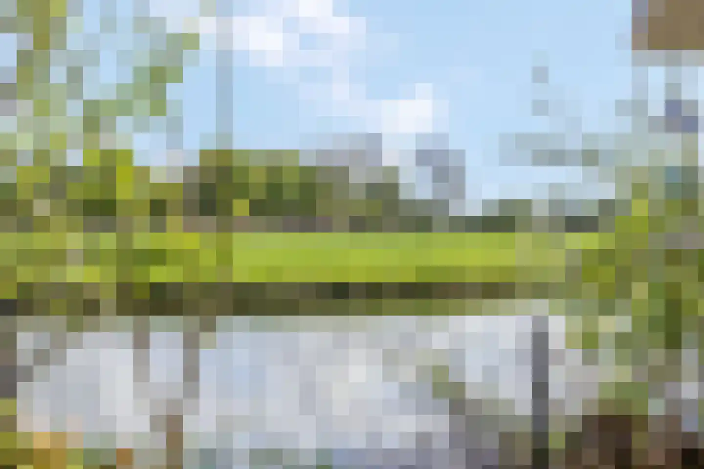 Rijk van Batouwe 55 Kesteren thumbnail 46