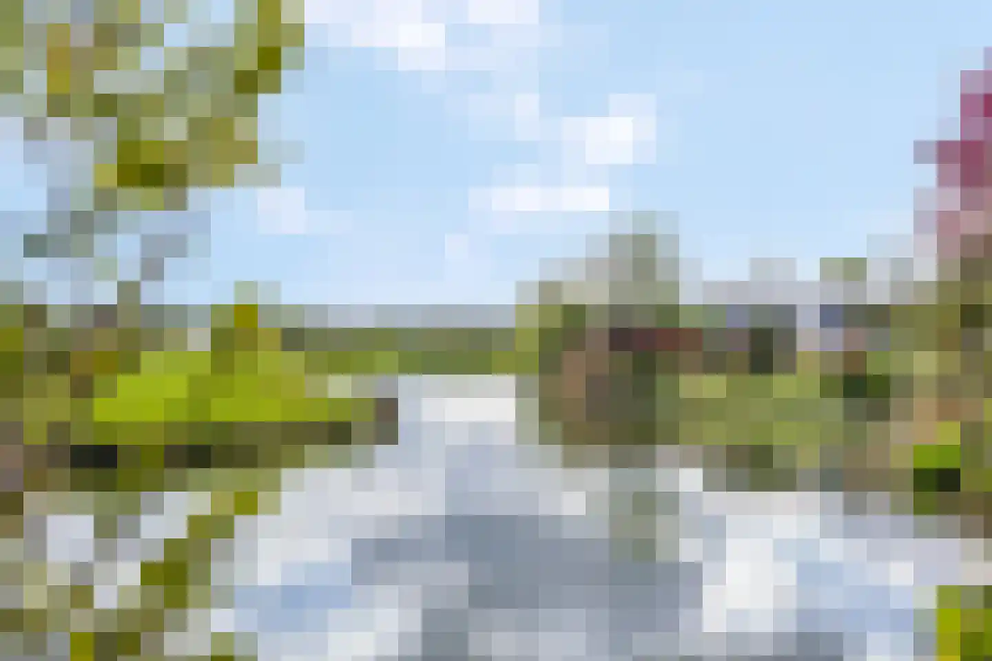 Rijk van Batouwe 55 Kesteren thumbnail 47