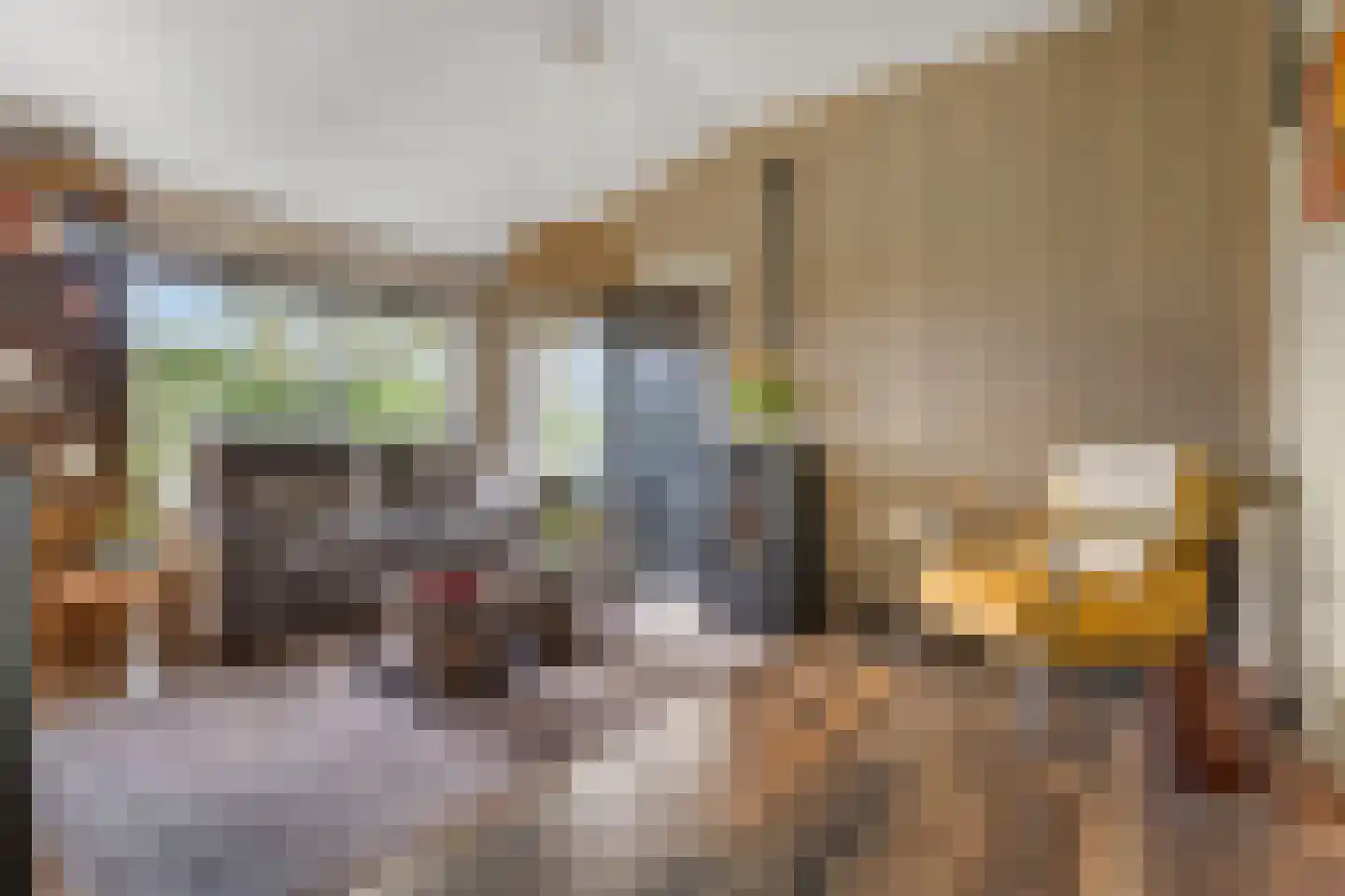 Rijk van Batouwe 55 Kesteren thumbnail 5