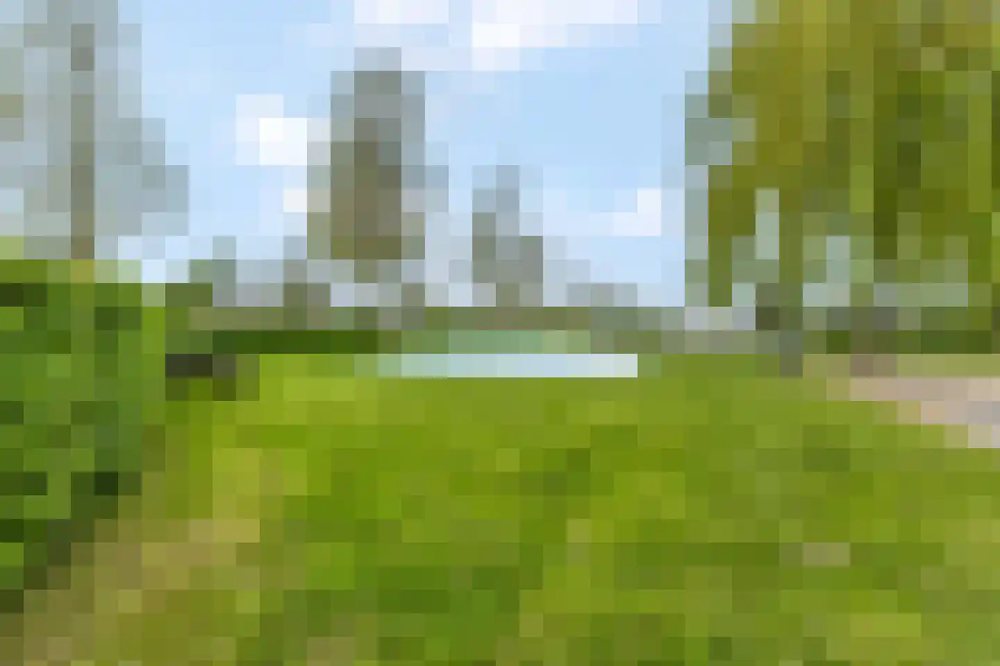 Rijk van Batouwe 55 Kesteren thumbnail 52