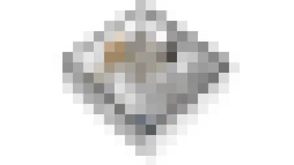 Rijk van Batouwe 55 Kesteren thumbnail 63