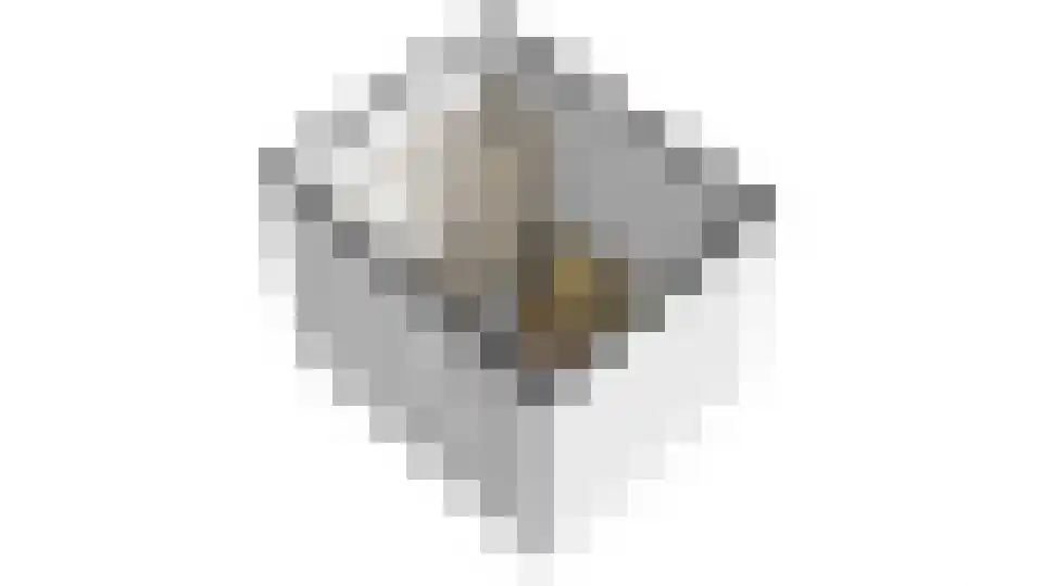 Rijk van Batouwe 55 Kesteren thumbnail 65