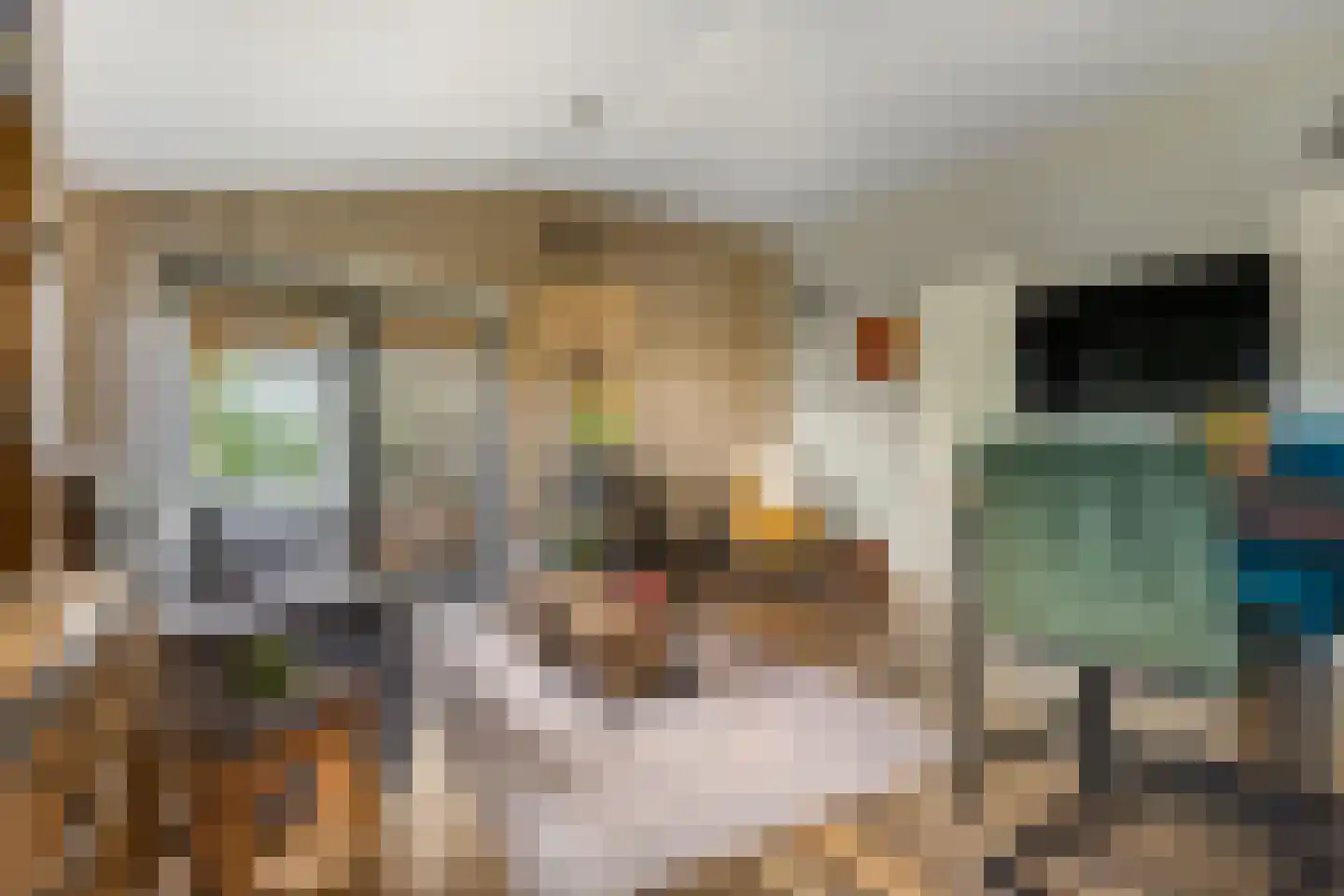 Rijk van Batouwe 55 Kesteren thumbnail 8