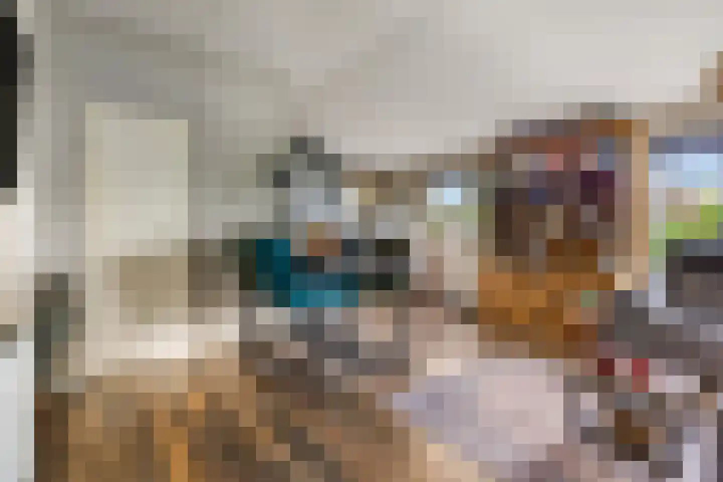 Rijk van Batouwe 55 Kesteren thumbnail 9
