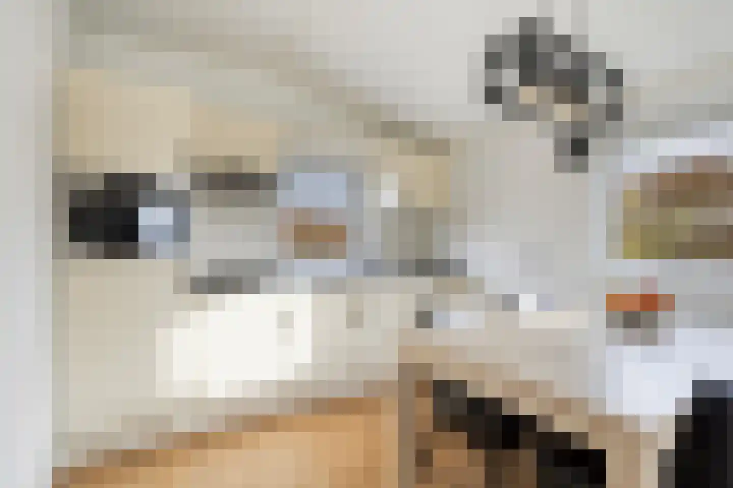 Rijk van Batouwe 63 Kesteren thumbnail 10