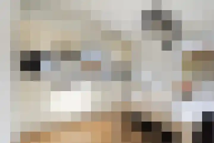 Rijk van Batouwe 63 Kesteren thumbnail 10