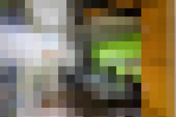 Rijk van Batouwe 63 Kesteren thumbnail 15