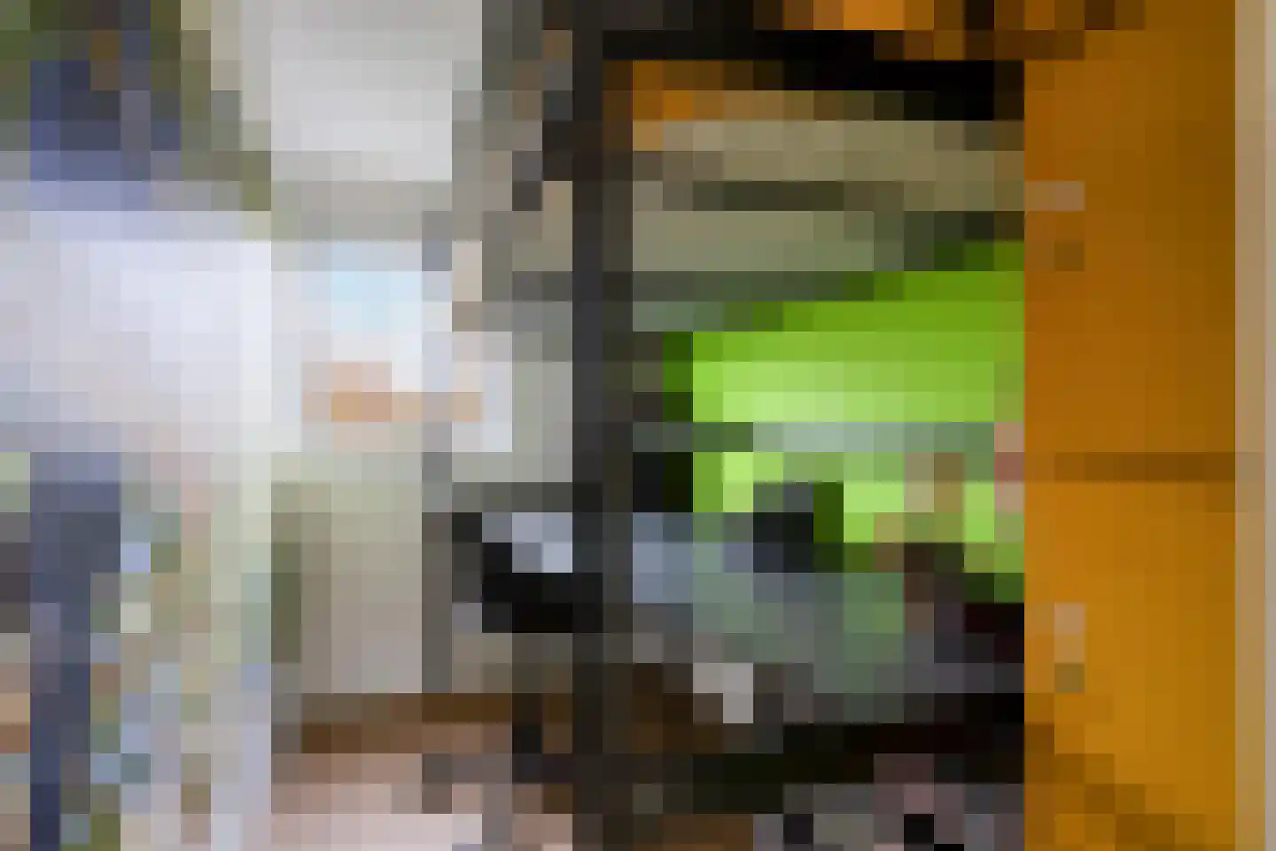 Rijk van Batouwe 63 Kesteren thumbnail 15