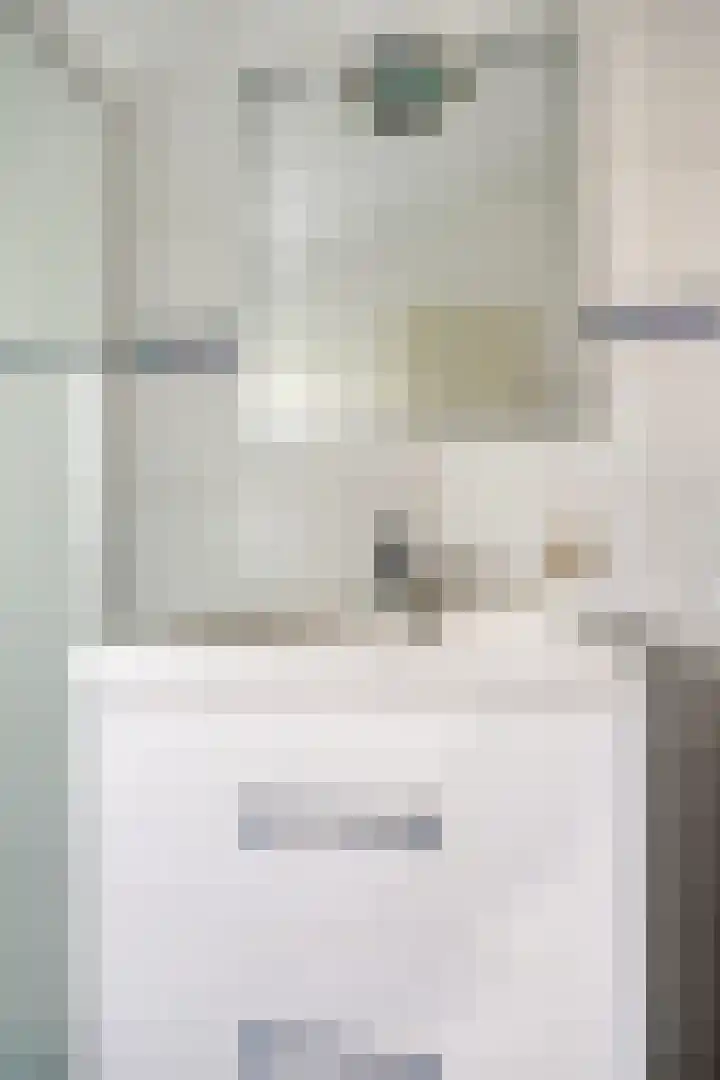 Rijk van Batouwe 63 Kesteren thumbnail 17
