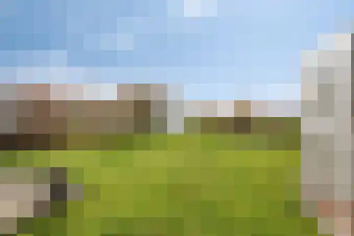 Rijk van Batouwe 63 Kesteren thumbnail 19