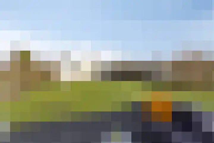 Rijk van Batouwe 63 Kesteren thumbnail 21