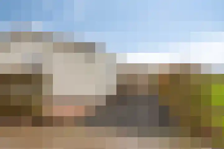 Rijk van Batouwe 63 Kesteren thumbnail 24