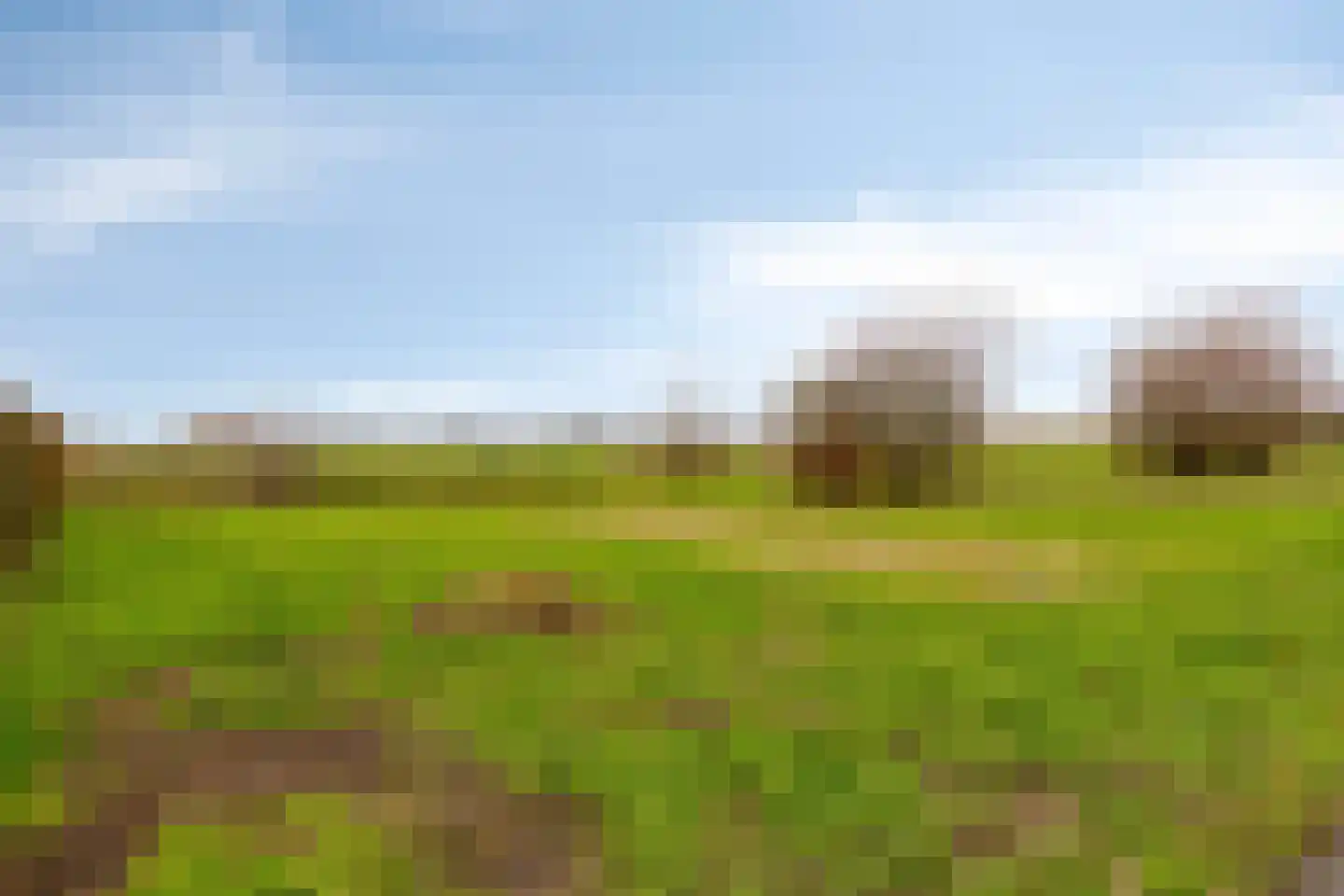 Rijk van Batouwe 63 Kesteren thumbnail 27