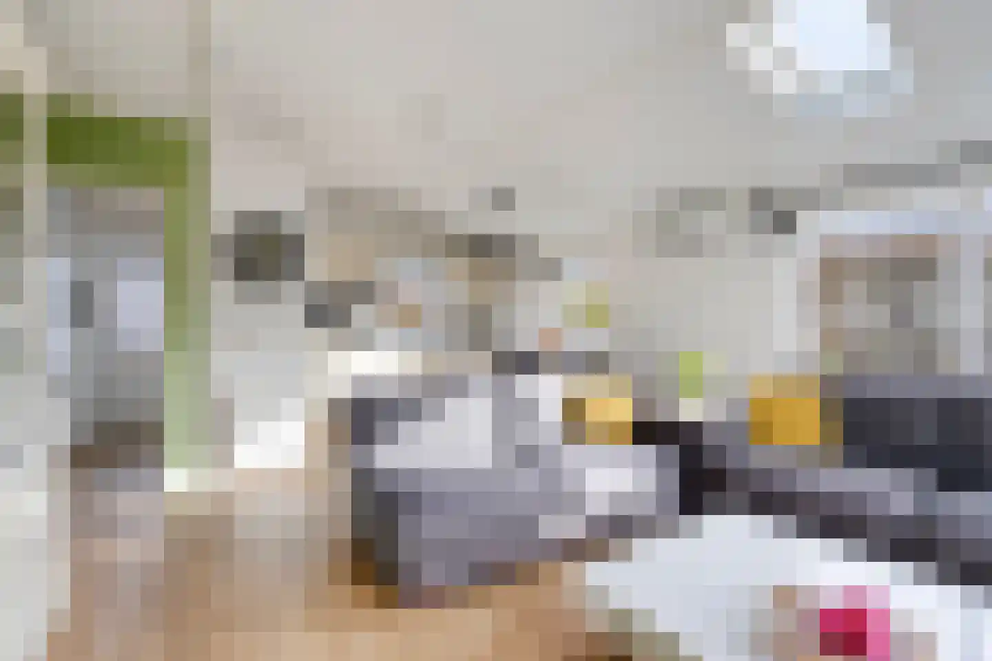 Rijk van Batouwe 63 Kesteren thumbnail 5