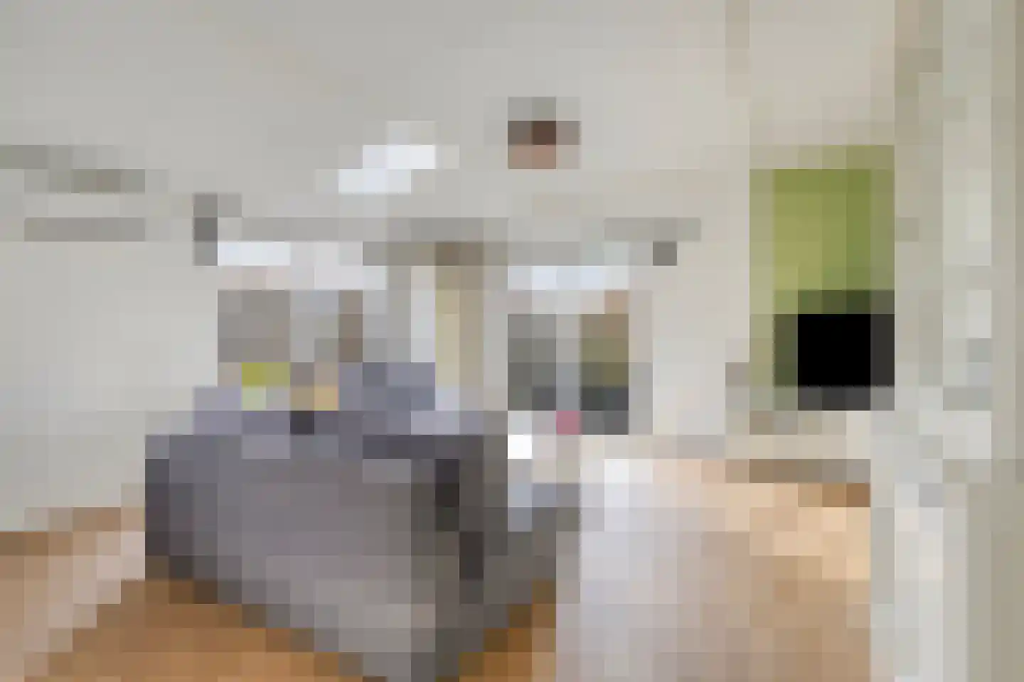 Rijk van Batouwe 63 Kesteren thumbnail 6