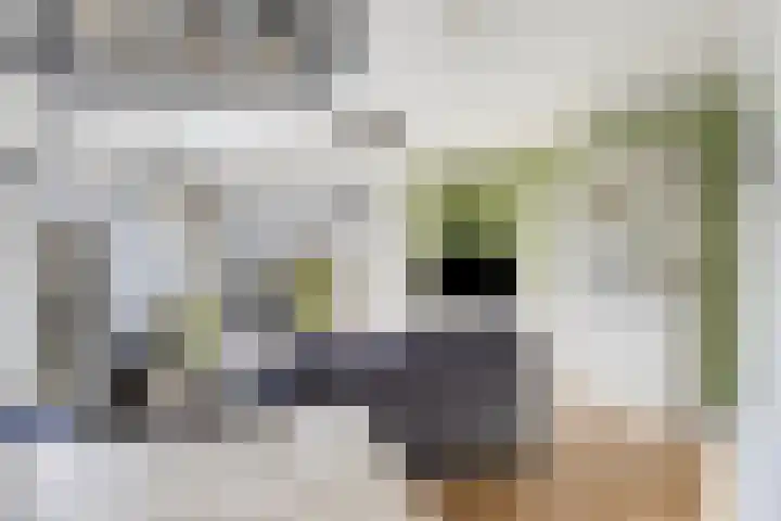 Rijk van Batouwe 63 Kesteren thumbnail 7