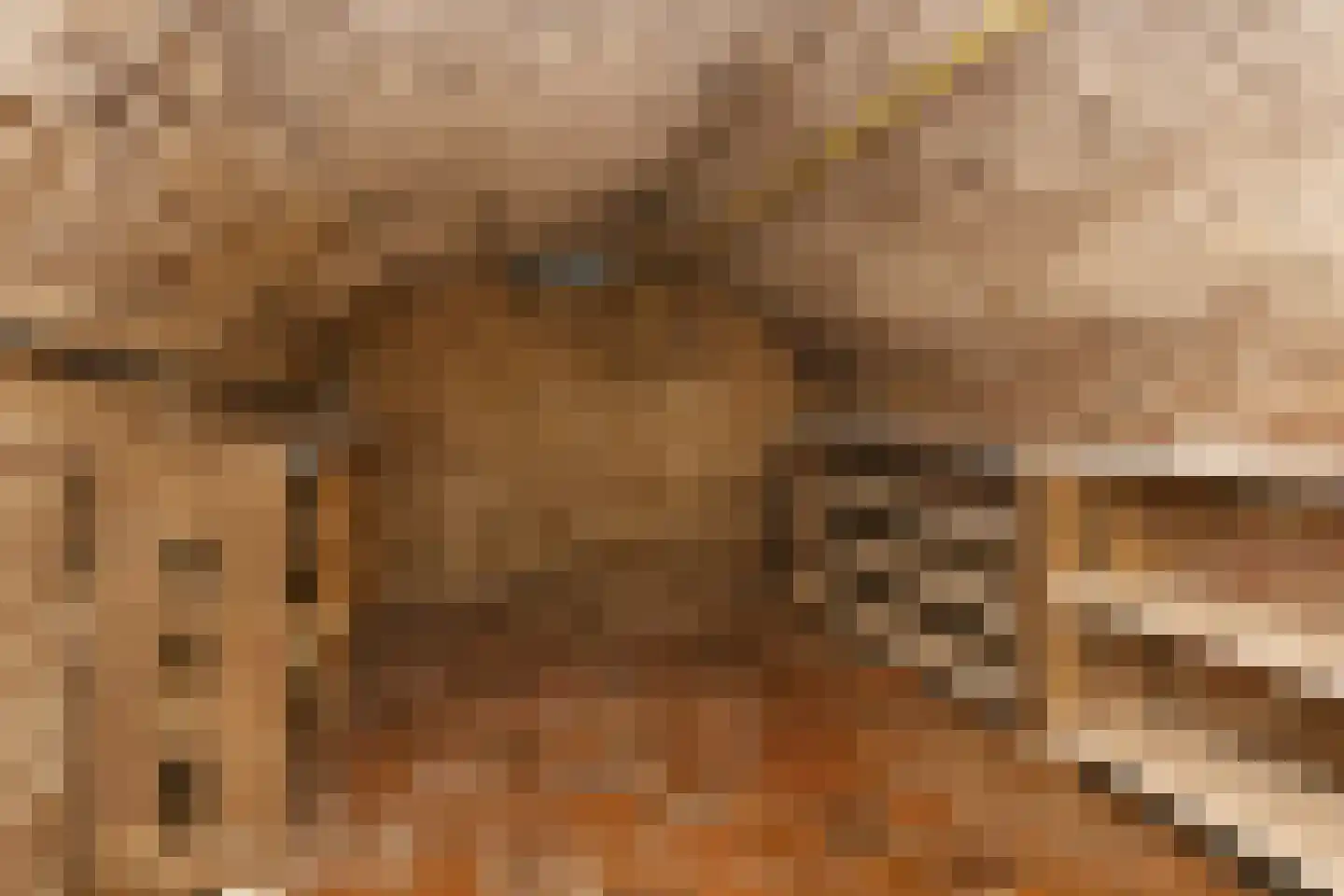 Rijkel 33 Beesel thumbnail 17