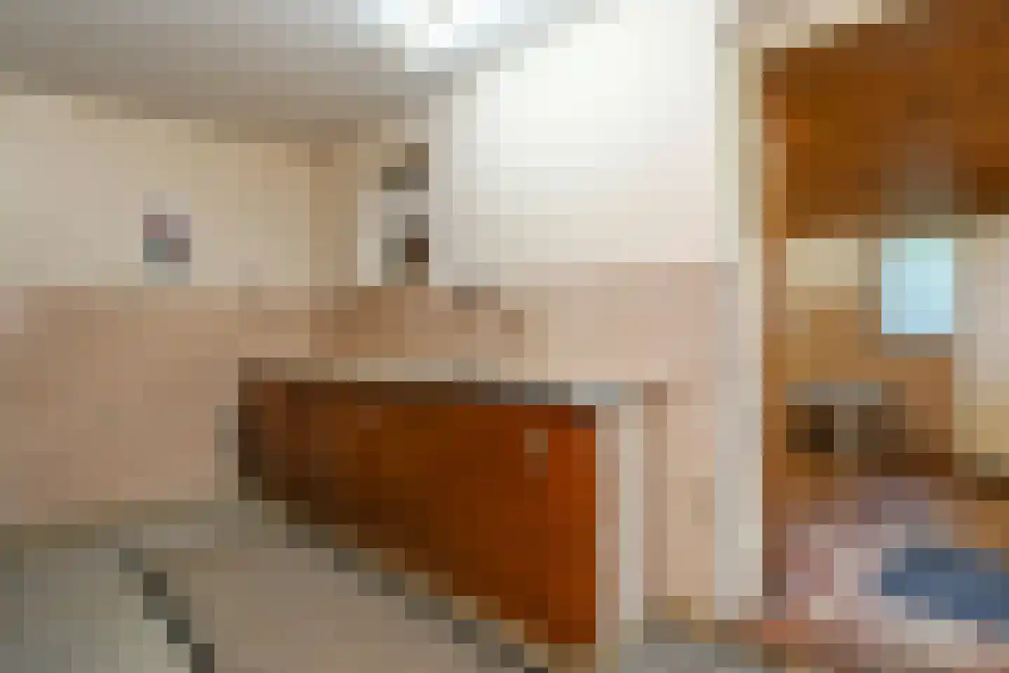 Rijkel 33 Beesel thumbnail 18