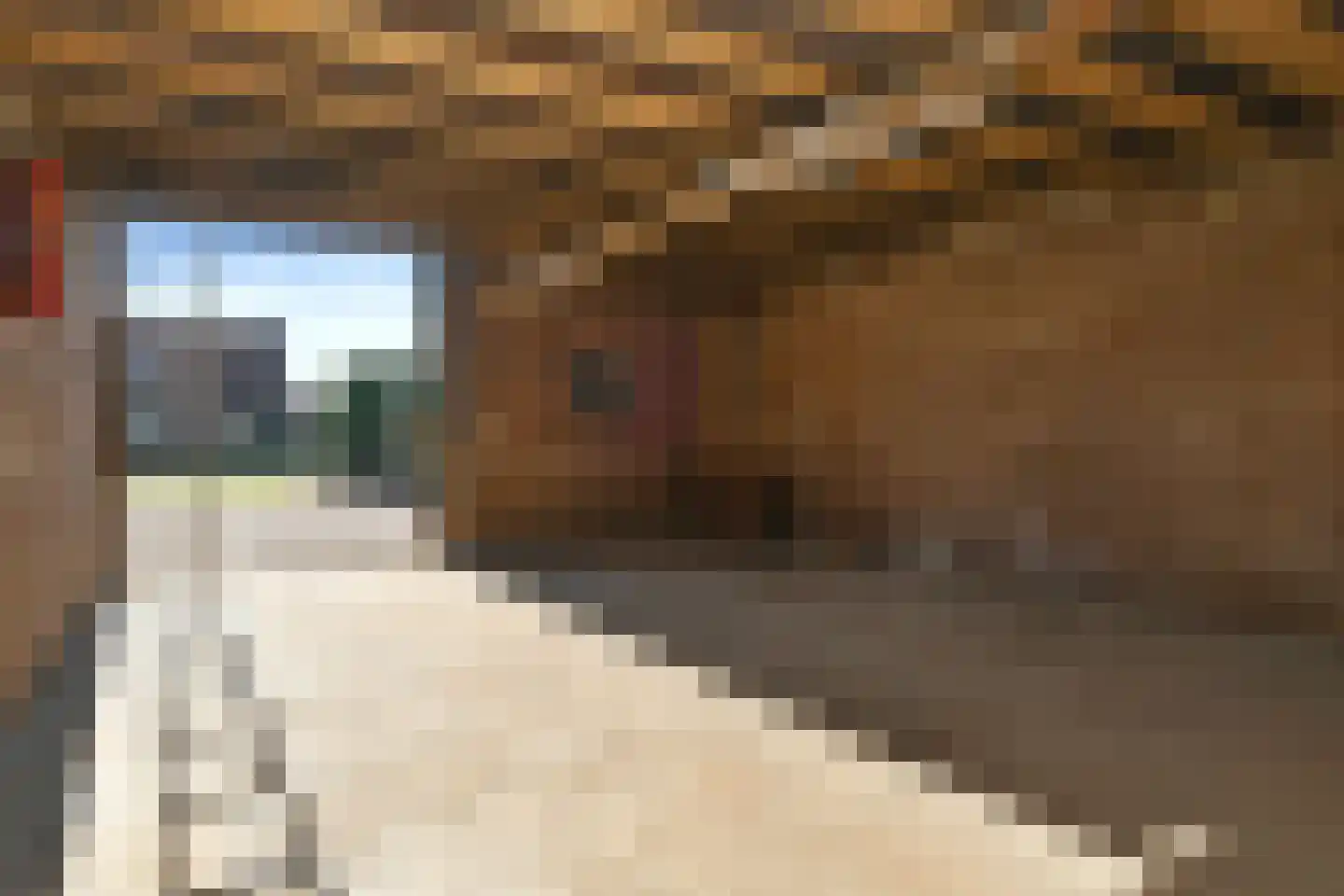 Rijkel 33 Beesel thumbnail 23