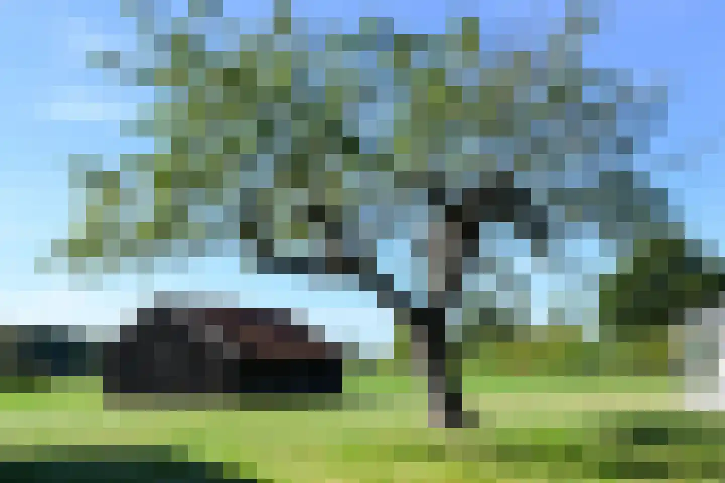 Rijkel 33 Beesel thumbnail 30